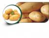 Potato